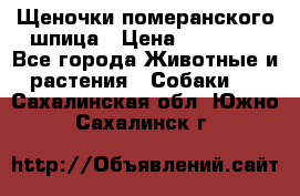 Щеночки померанского шпица › Цена ­ 25 000 - Все города Животные и растения » Собаки   . Сахалинская обл.,Южно-Сахалинск г.
